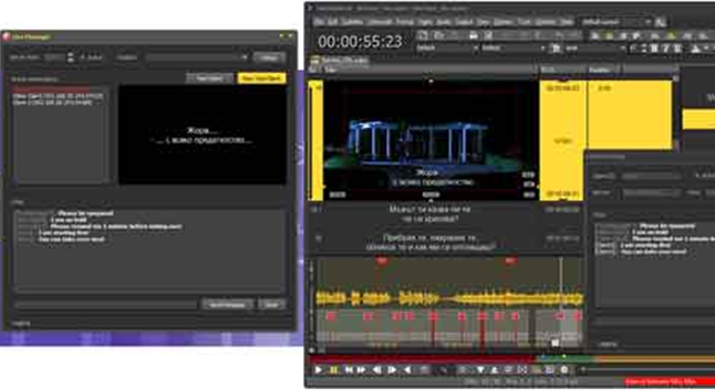 Vietnamese subtitling formats