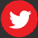 Vietnamese voice over twitter
